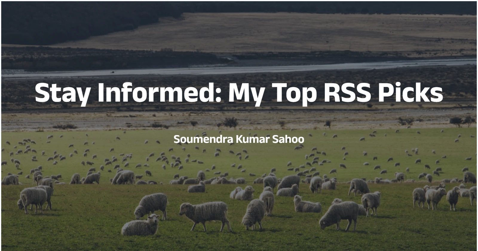 /images/posts/rss-feeds.webp