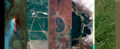/images/india.webp